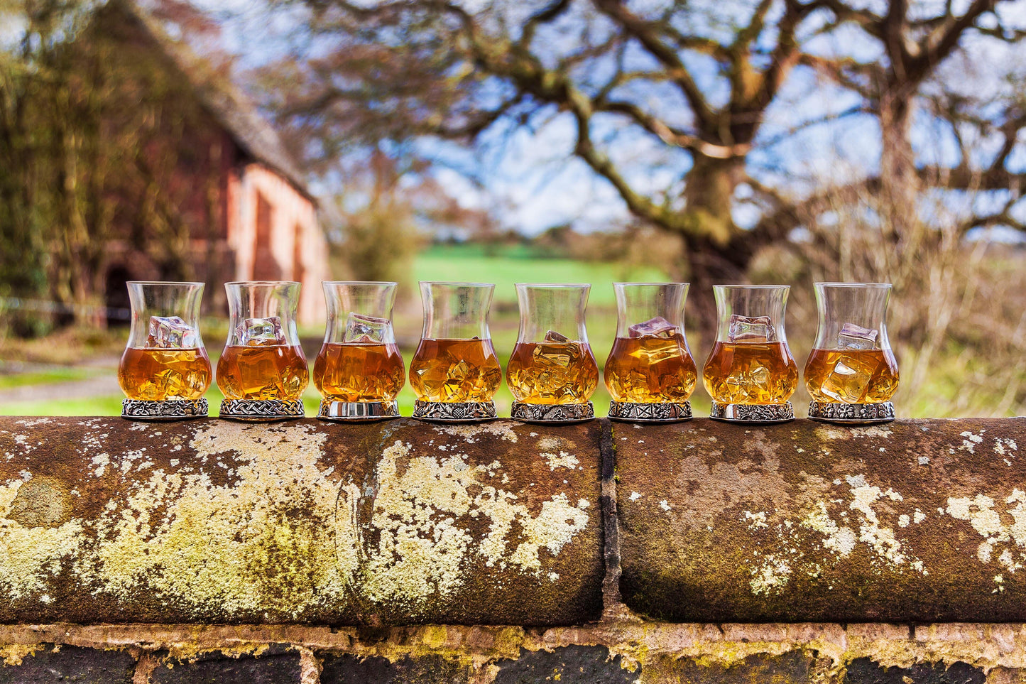 Verre à Whisky Écossais