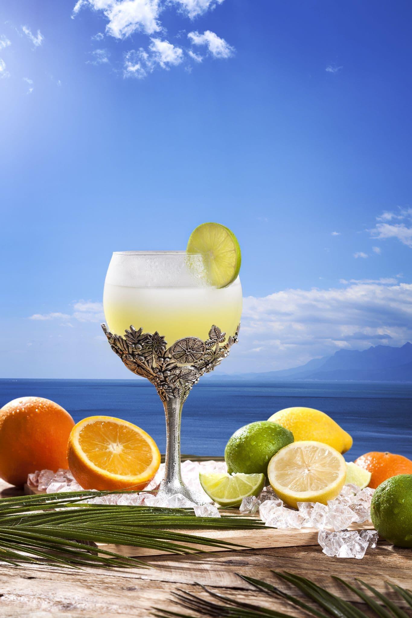 Clear balloon gin glass with botanical design, perfect for cocktails and entertaining by My Store