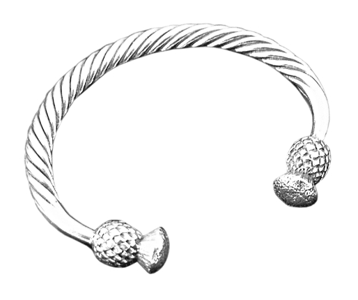 Torc en Chardon